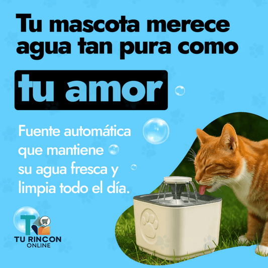 Fuente de Agua para Gatos con Filtro
