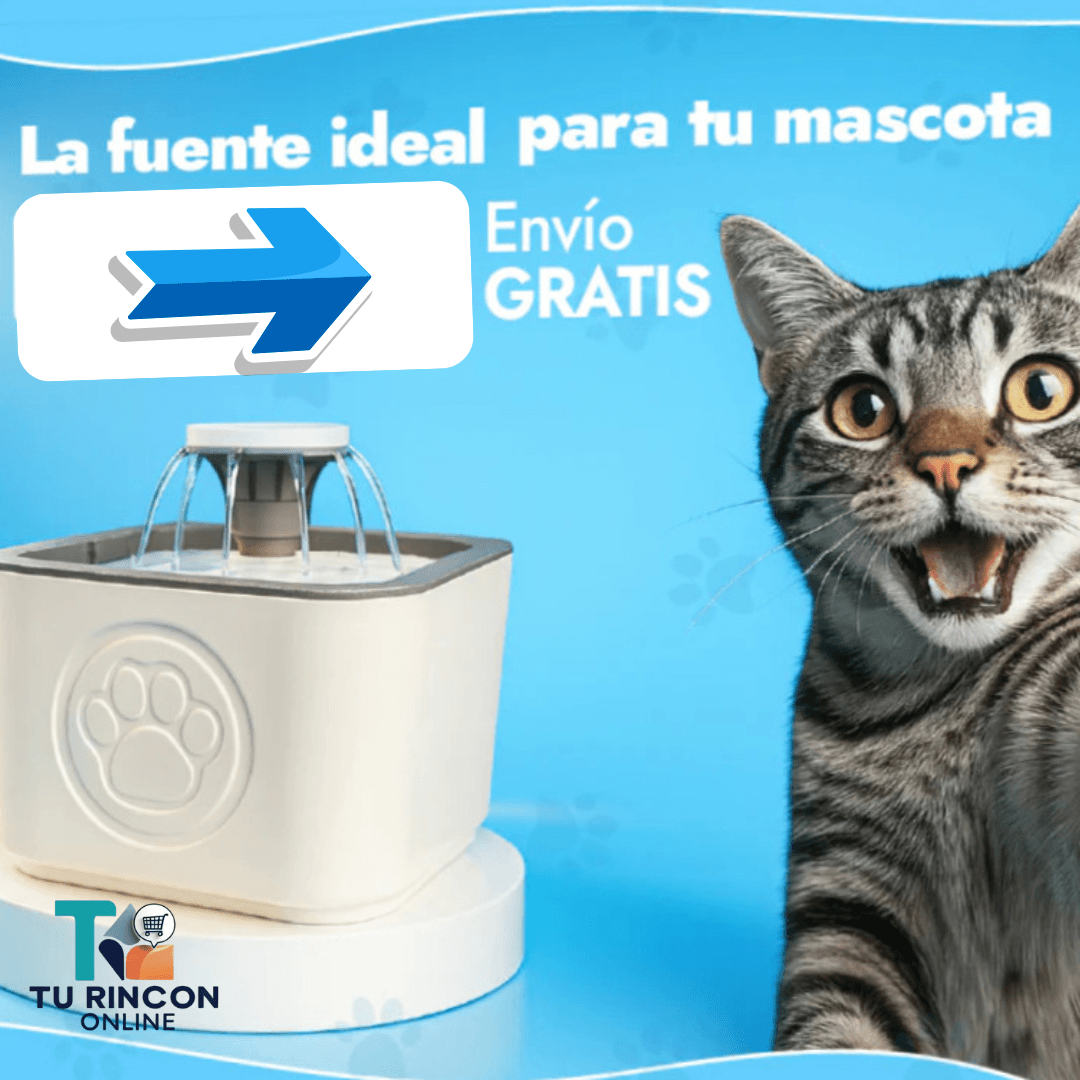 Fuente de Agua para Gatos con Filtro